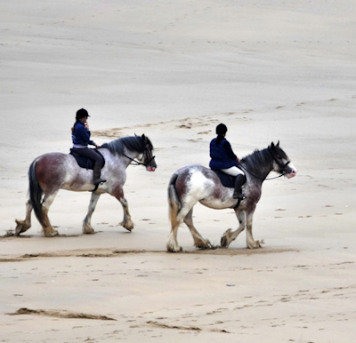 winter_horse_riding_tips_4_480x480-png