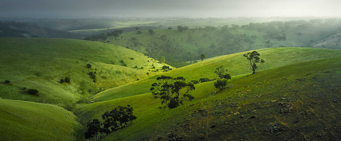 cellarspace-adelaide-hills-blog-img2-png