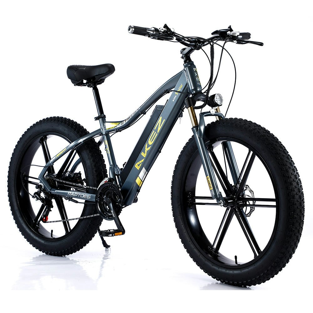 AKEZ 750W 48V ML1P Snow Bicycle 26 inches Beach Electric Bike Motorized eBike Battery