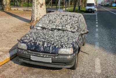 11 Things That Will Damage Your Car Paint