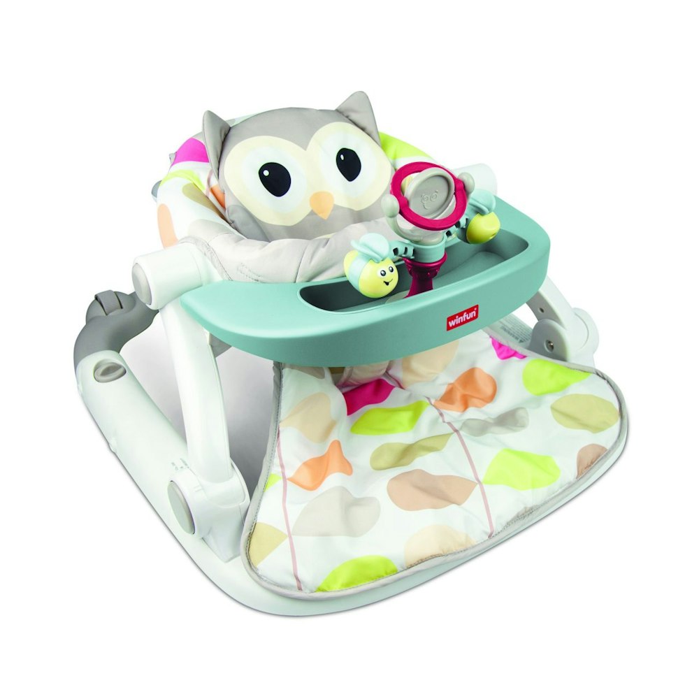 Winfun Sit-to-walk Activity Centre (owl)