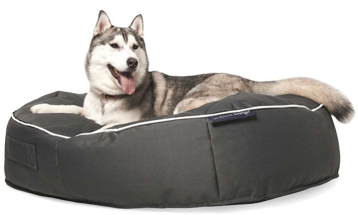 extra-large-dog-bed-jpg