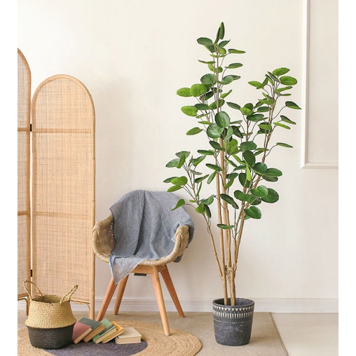 SOGA 4X 180cm Green Artificial Indoor Pocket Money Tree Fake Plant Simulation Decorative SOGA 4X 180cm Green Artificial Indoor Pocket Money Tree Fake Plant Simulation Decorative