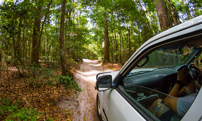 Fuel Efficient, Eco-Friendly Tyres Overview