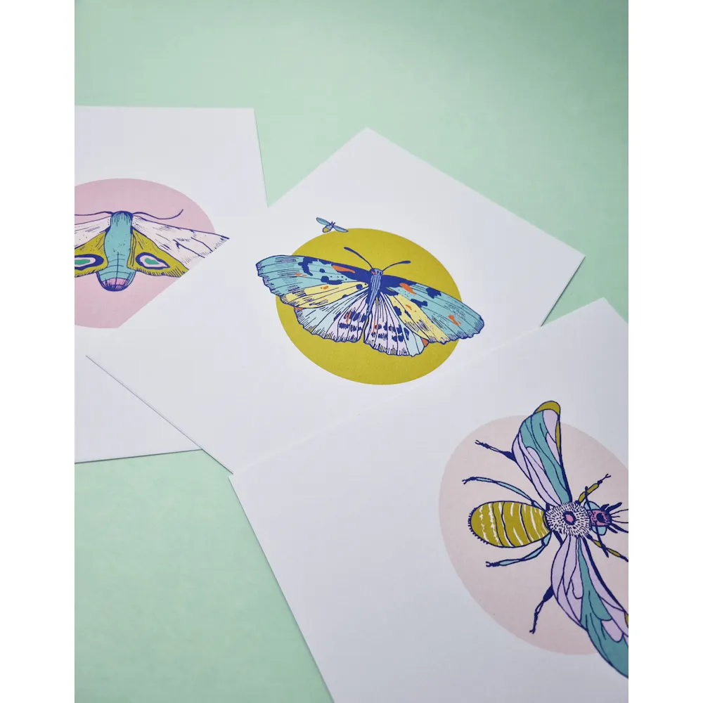 Bugg Creative Insect Butterfly A5 Art Print Trio | Illustration Wall ...