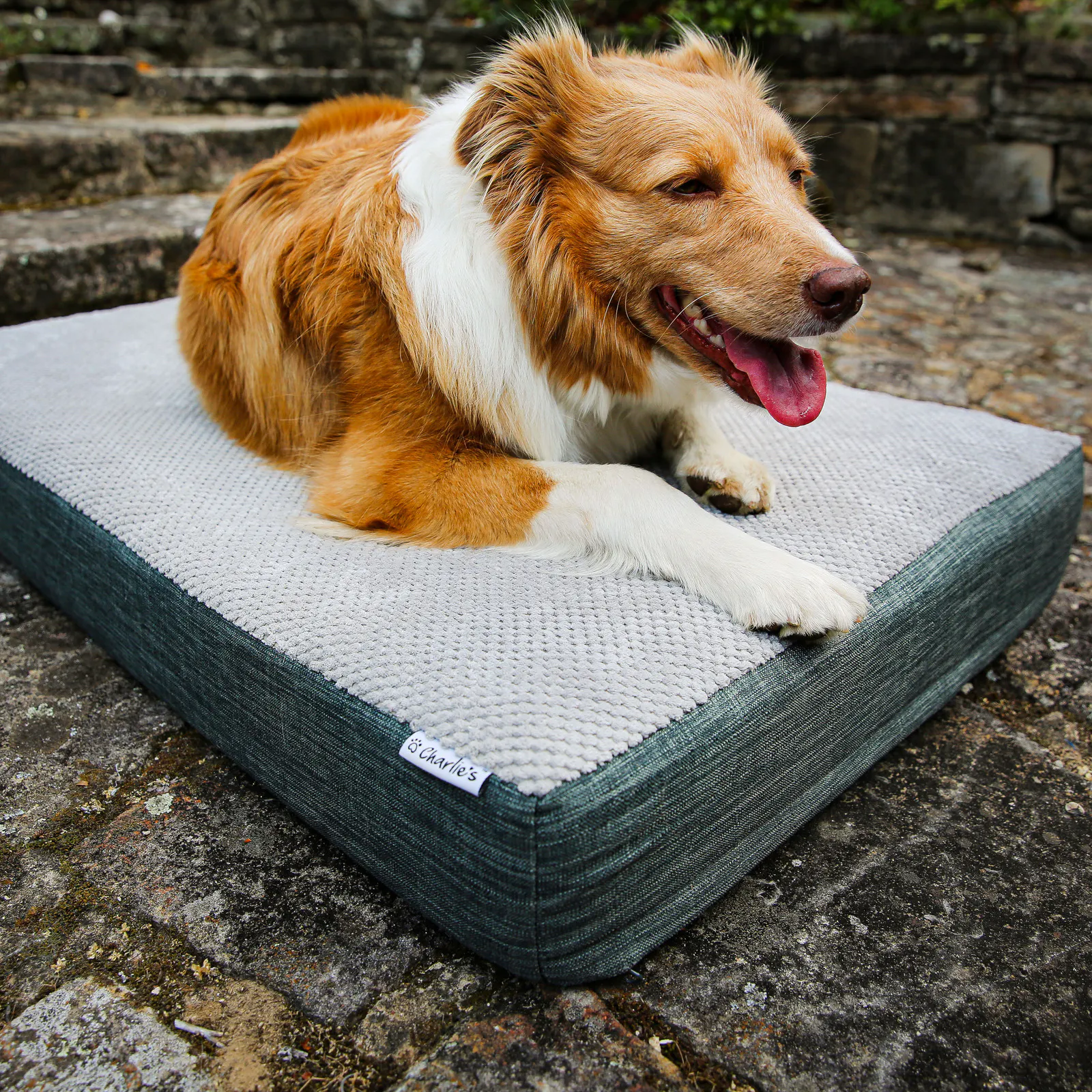 Charlie's Universal Pet Mattress Small