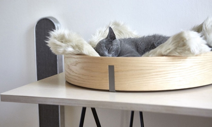 cat-beds-jpg