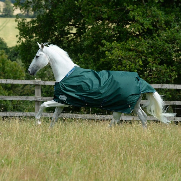 green-line-turnout-rug-100g-jpg