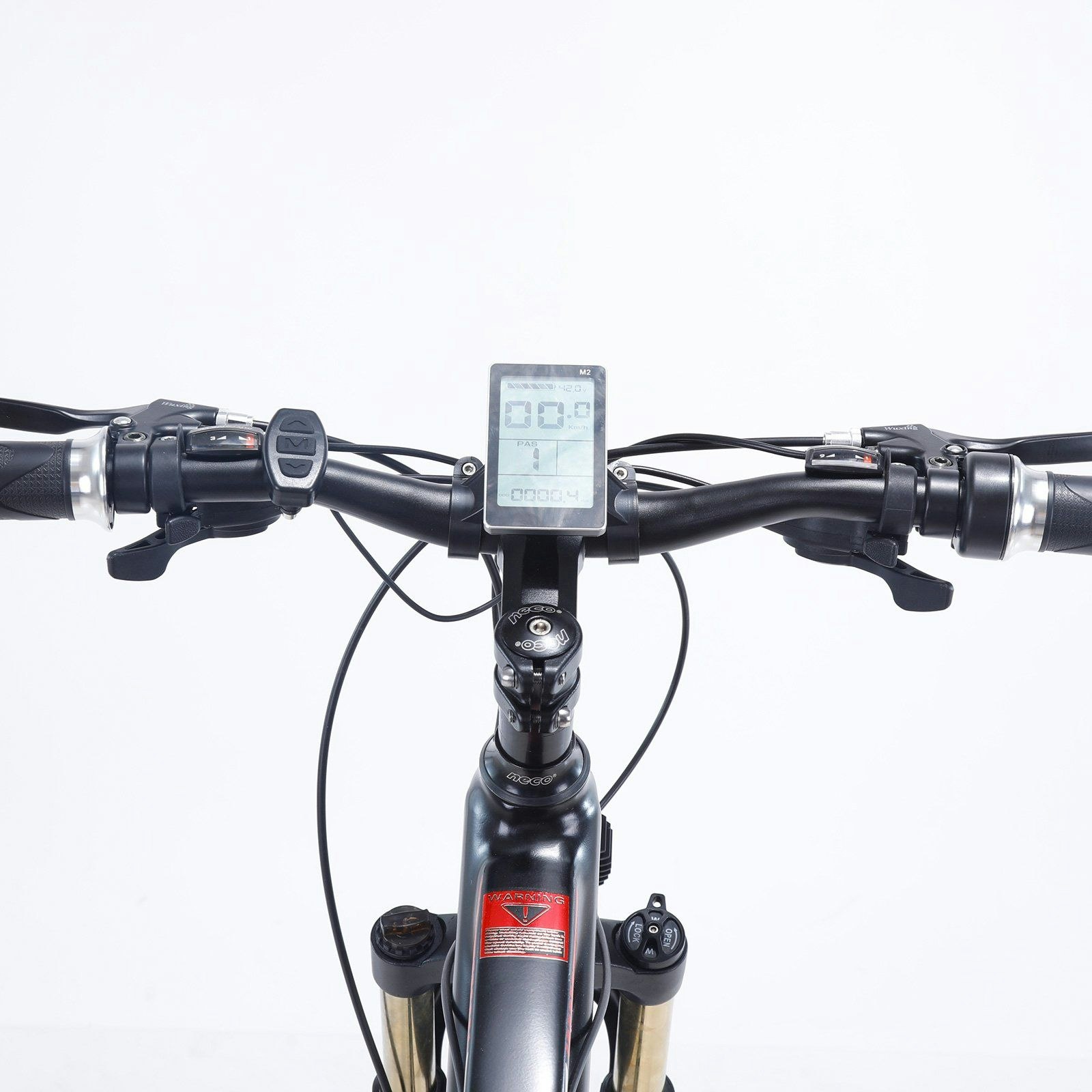 AKEZ 001 350W Mortor 36V 10Ah 26 Inches Electric Bike Mountain Bicycle