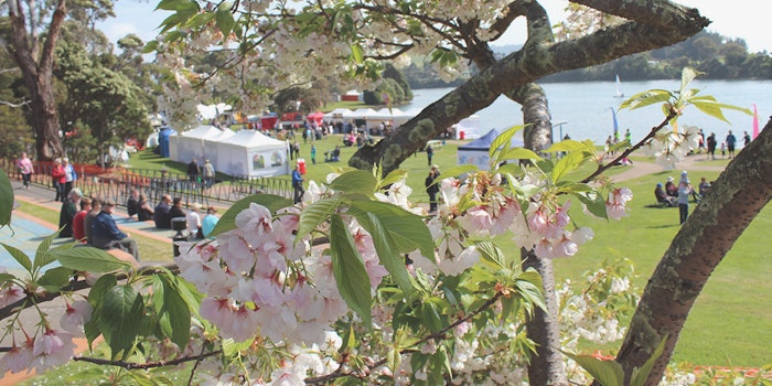 spring-events-bloomingfest-jpg