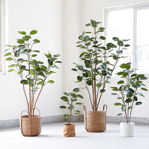 SOGA 4X 180cm Green Artificial Indoor Pocket Money Tree Fake Plant Simulation Decorative SOGA 4X 180cm Green Artificial Indoor Pocket Money Tree Fake Plant Simulation Decorative