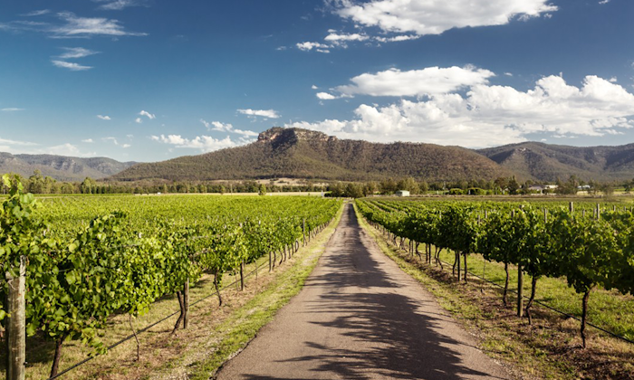 hunter-valley-1-png