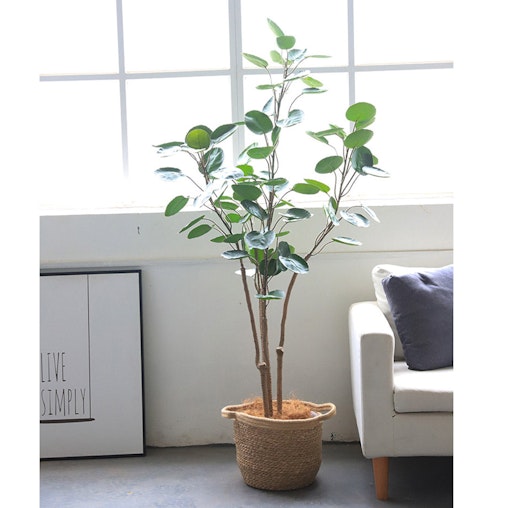 SOGA 4X 180cm Green Artificial Indoor Pocket Money Tree Fake Plant Simulation Decorative SOGA 4X 180cm Green Artificial Indoor Pocket Money Tree Fake Plant Simulation Decorative