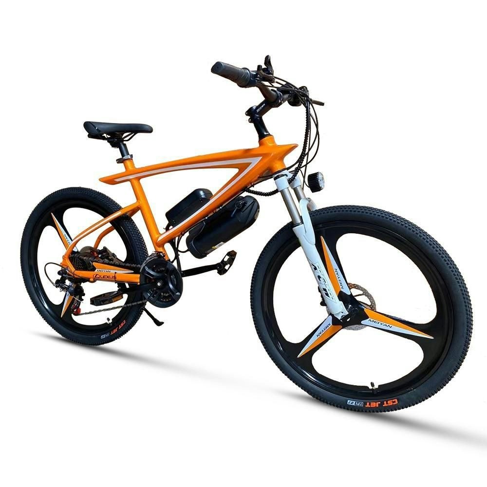 AKEZ 350W 36V Custom Look Branded Logo Electric Bike Mountain Bicycle 26 Inch LS