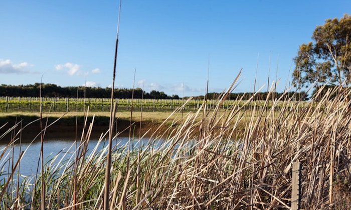 cellarspace-banks-road-lake-jpg