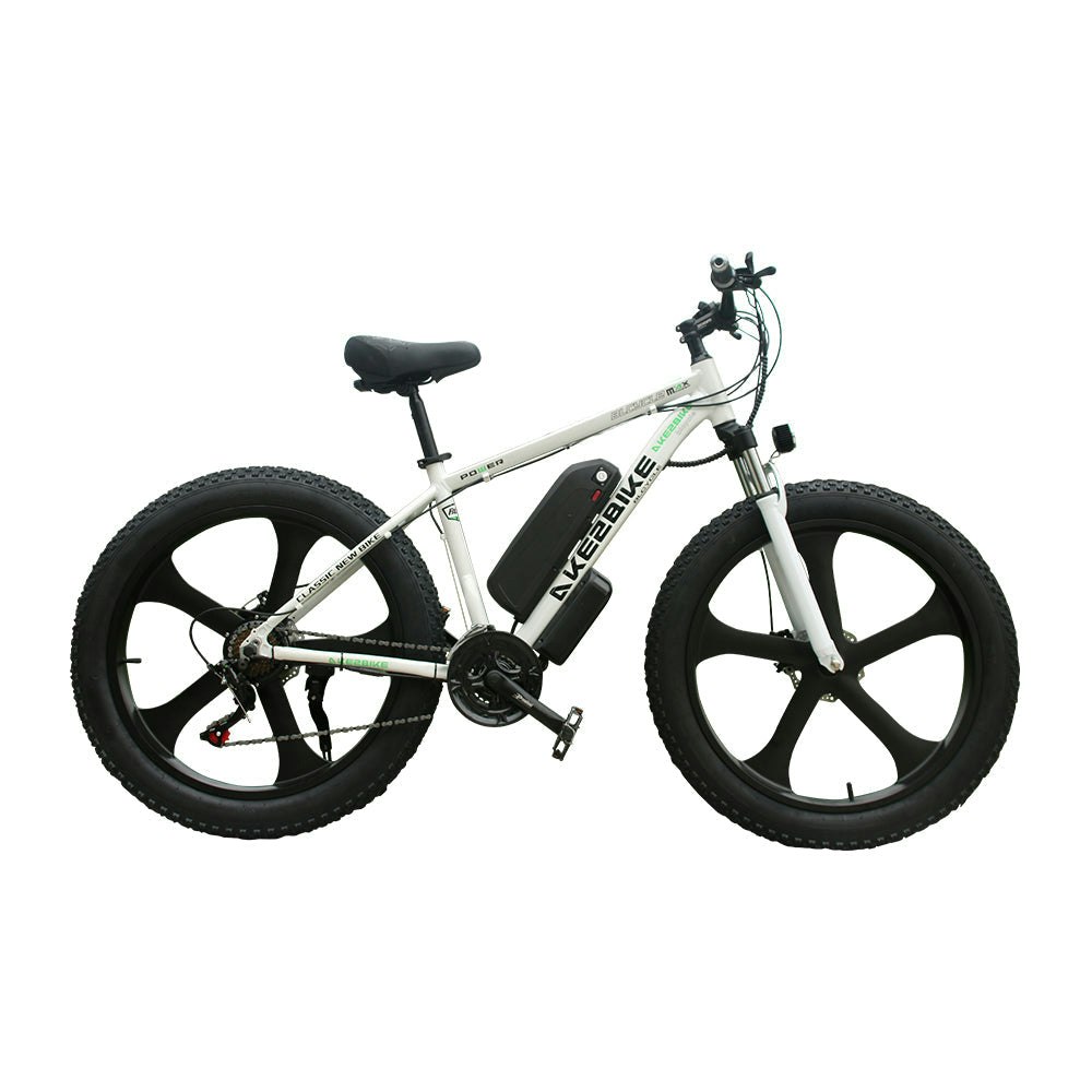 AKEZ 750W 48V Snow eBike 26-Inch Electric Bike Motorized Bicycle