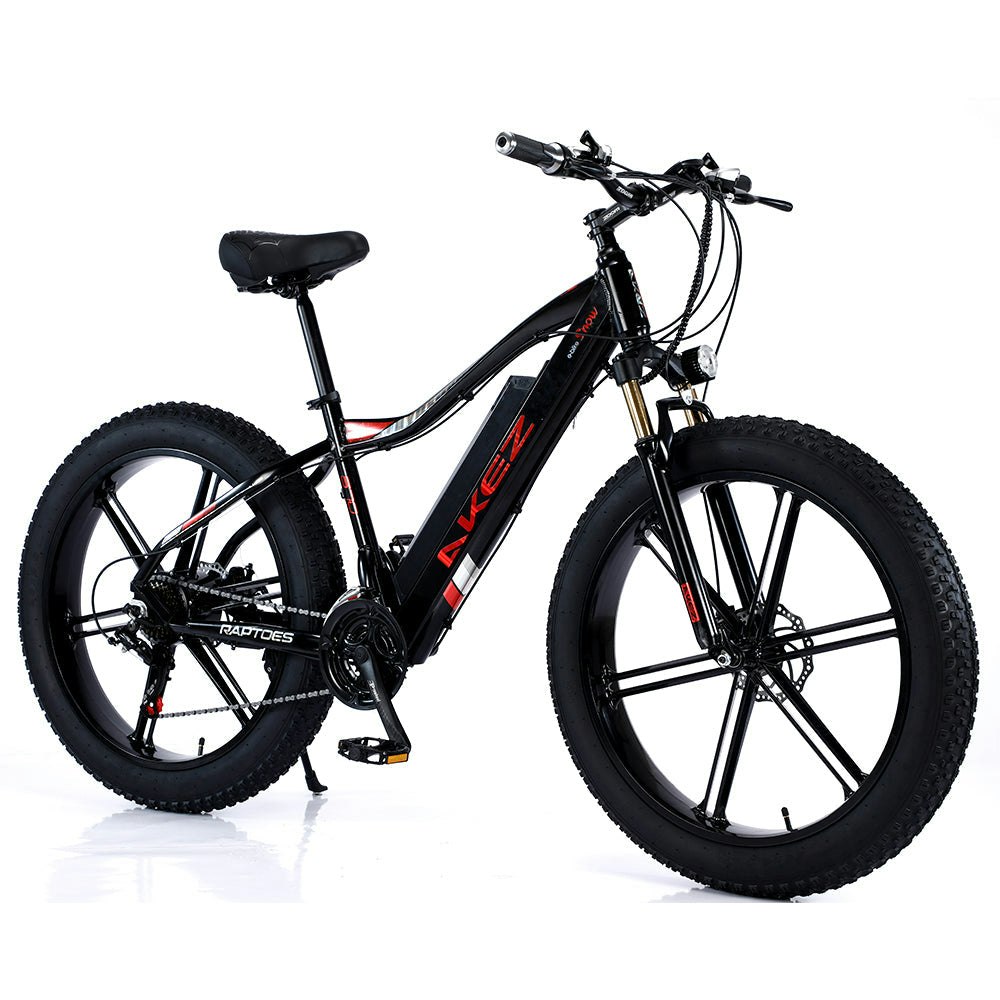AKEZ 750W 48V ML1P Snow Bicycle 26 inches Beach Electric Bike Motorized eBike Battery