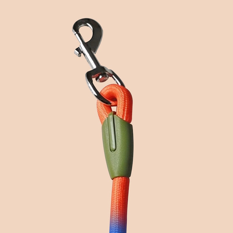 SOGA 220cm Multifunction Hands-Free Rope Pet Cat Dog Puppy Double Ended Leash for Walking Training Tracking Obedience Rainbow image number null