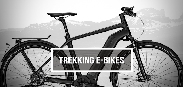 trekking-e-bike-kaufberatung-png
