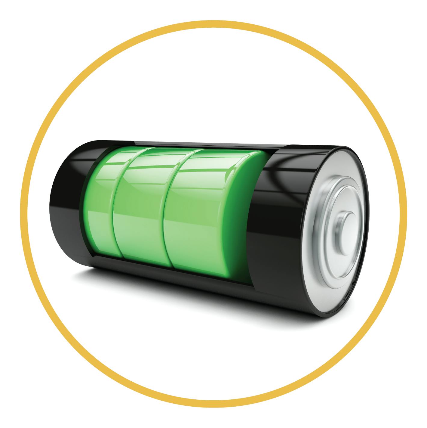 Vistara Professional Hair Trimmer & Clipper - Series V