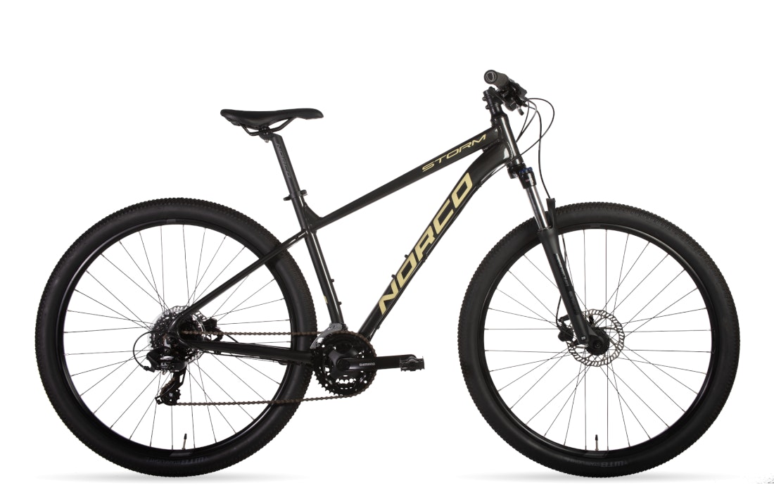 Storm 3 29 2019 Hardtail Mountain Bikes for sale in LACEY