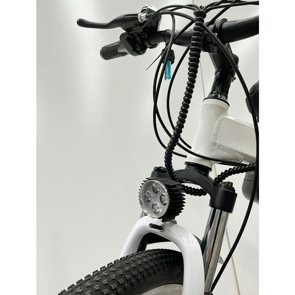 AKEZ 350W 36V 10Ah Electric Bike 21-speed Derailleur Front and Rear Suspension System