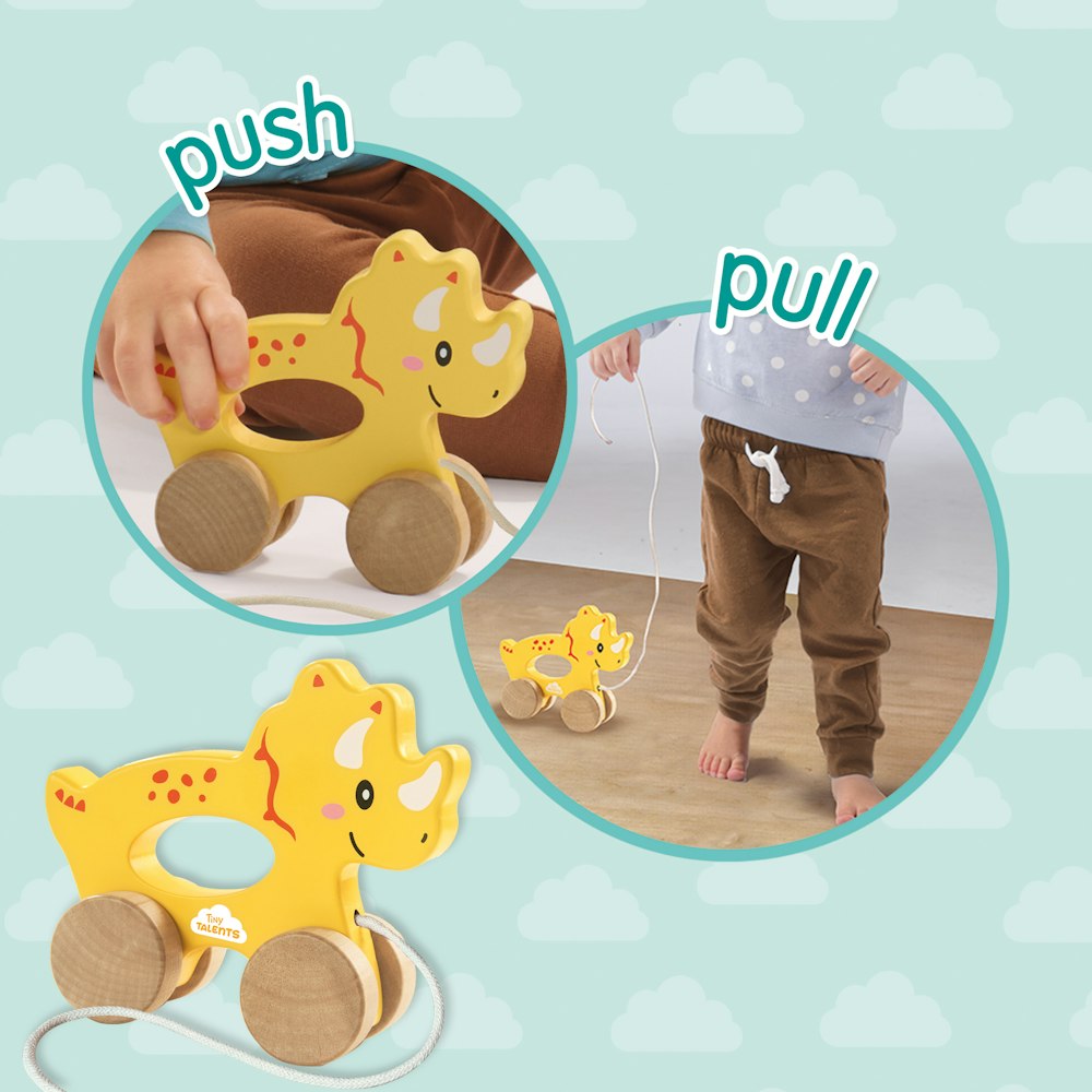 SES Creative Push And Pull 2 In 1 Wooden Triceratops