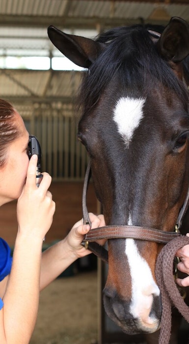 ophthalmicexam-jpg