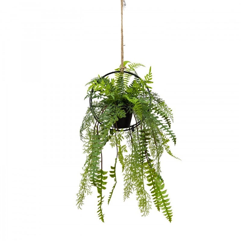 Buy Faux Mixed Fern in Circle Frame Hanger (with Rope) Artificial Plant ...