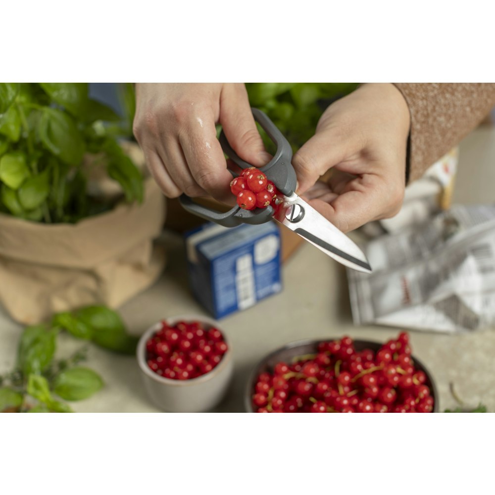 Kuhn Rikon Kitchen Shears Compact