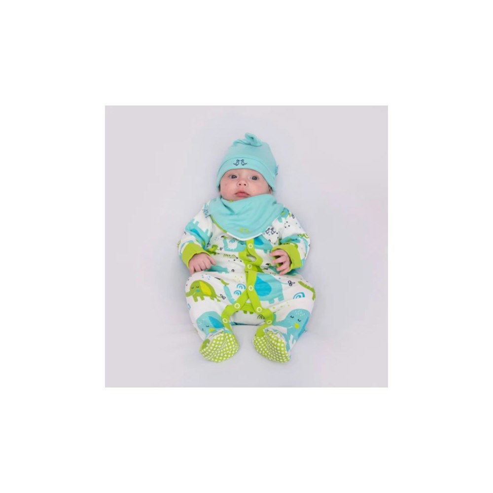 Luca and Rosa Little Elephant Print Boys Set Of 2 Dribble Bibs