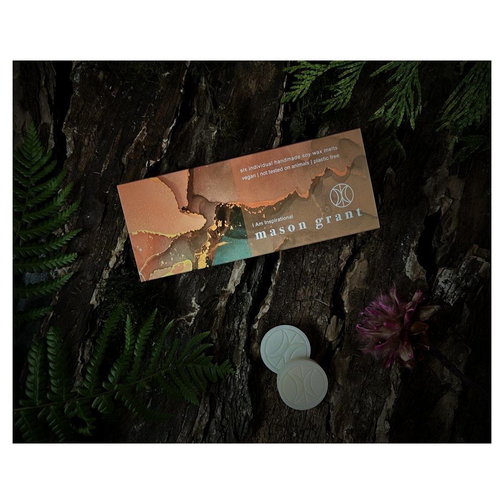 Mason Grant I Am Inspirational Six Soy Wax Melts