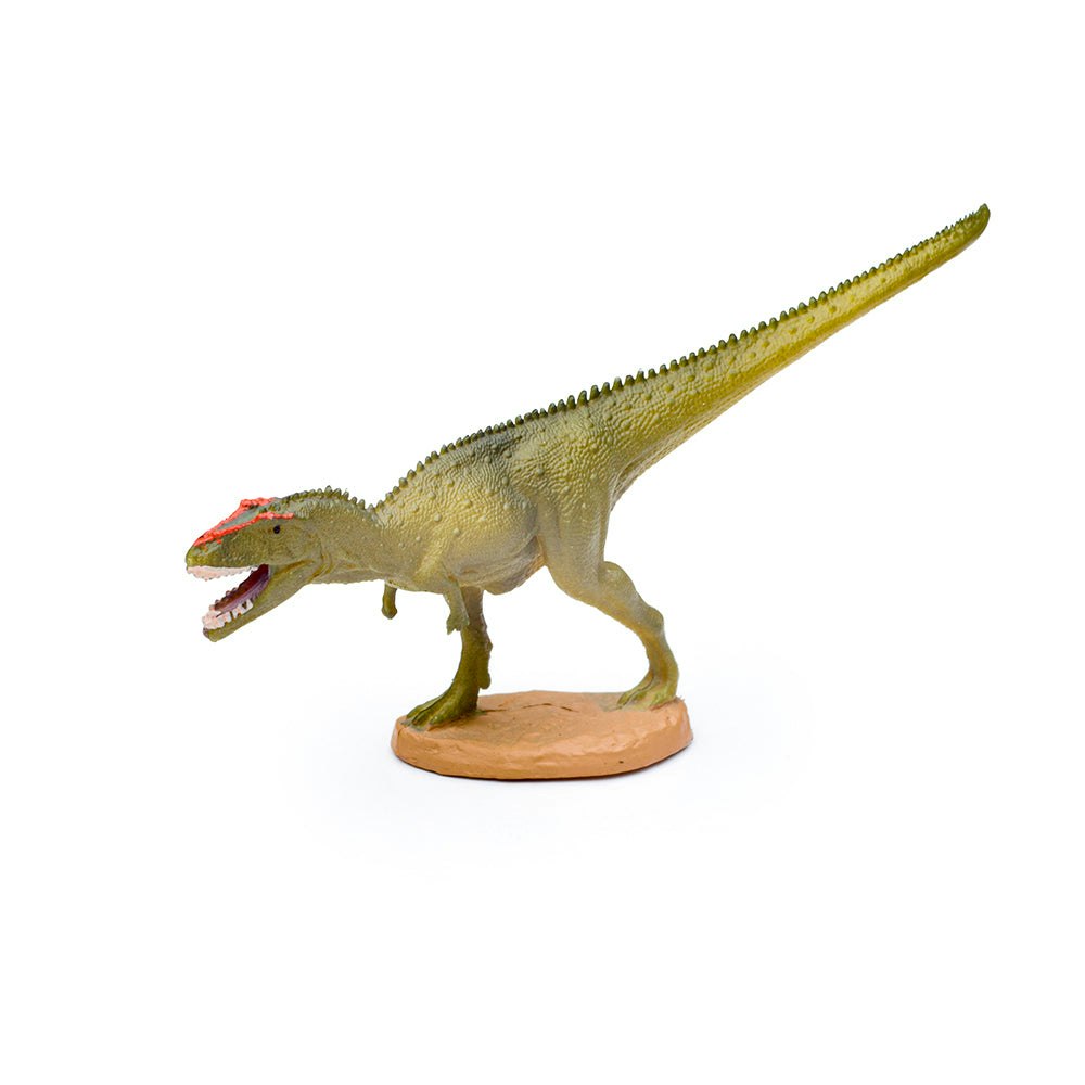 CollectA Collecta Box Of Mini Dinosaurs Box 3