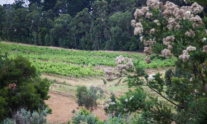 cellarspace-blog-image-winery-jpg