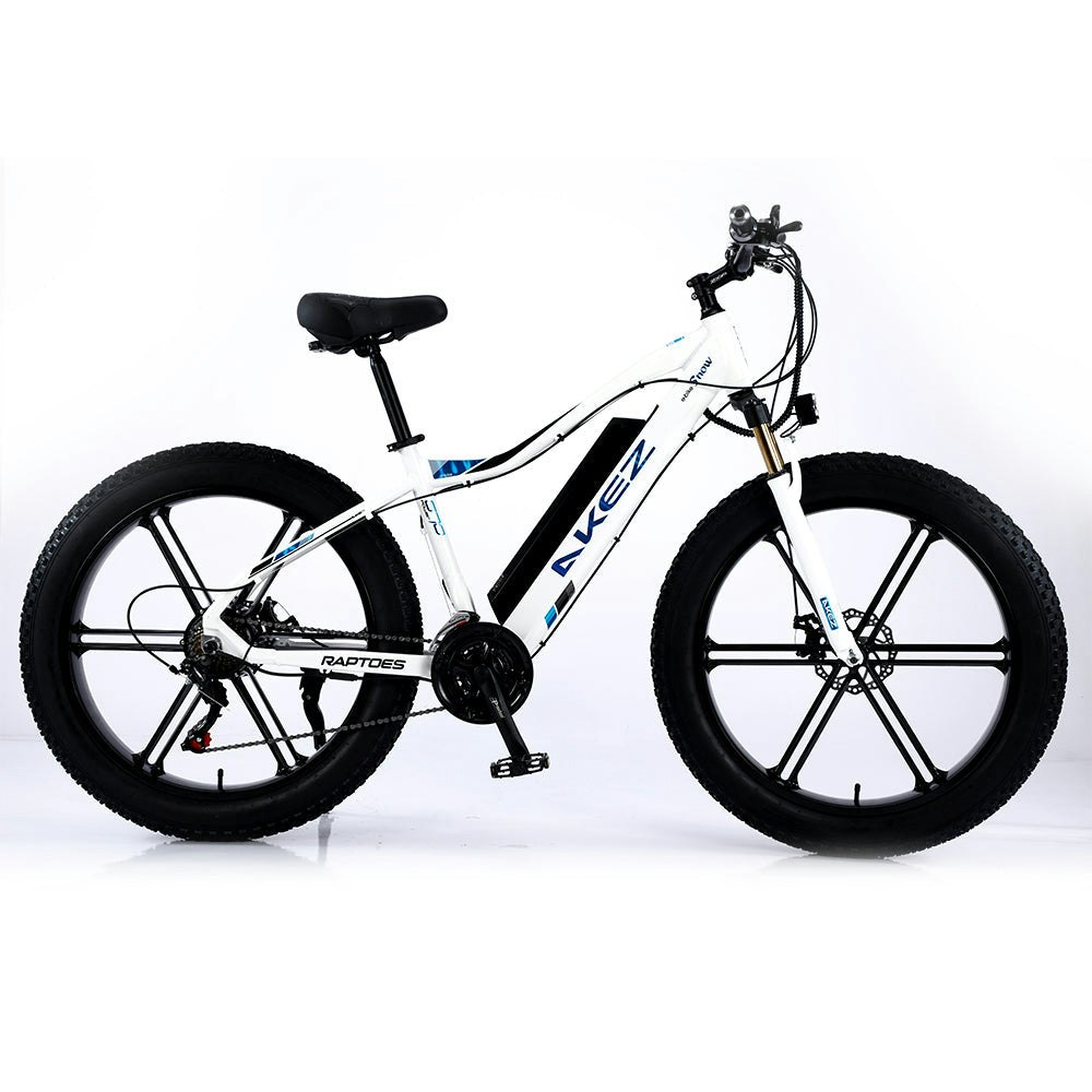 AKEZ 750W 48V ML1P Snow Bicycle 26 inches Beach Electric Bike Motorized eBike Battery