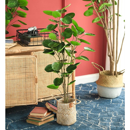 SOGA 4X 180cm Green Artificial Indoor Pocket Money Tree Fake Plant Simulation Decorative SOGA 4X 180cm Green Artificial Indoor Pocket Money Tree Fake Plant Simulation Decorative