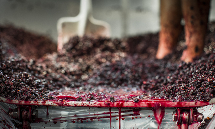 wine-range-png