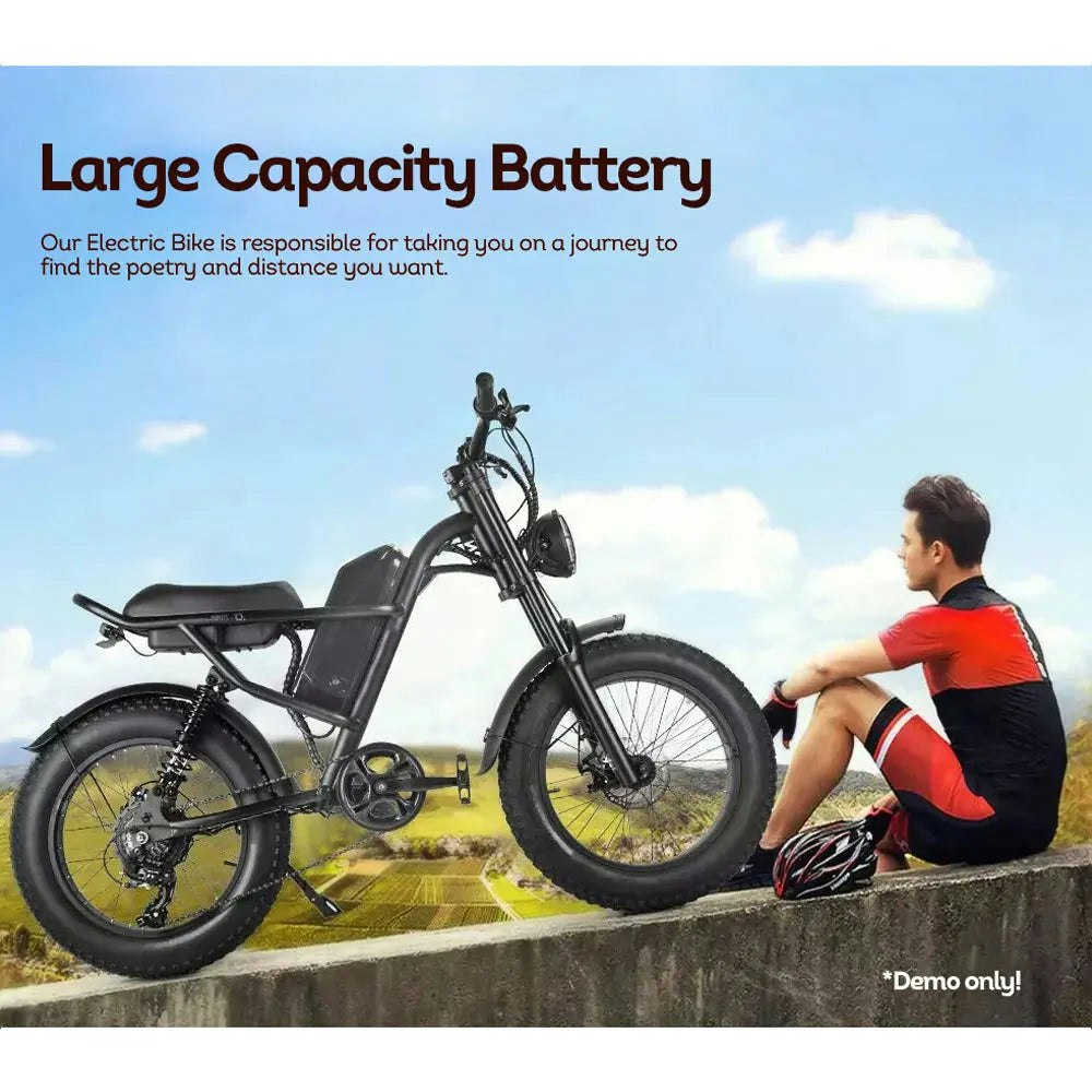 AKEZ 500W 48V 20 Inches Fat Tire Electric Bike Large Capacity Removable Battery - Black