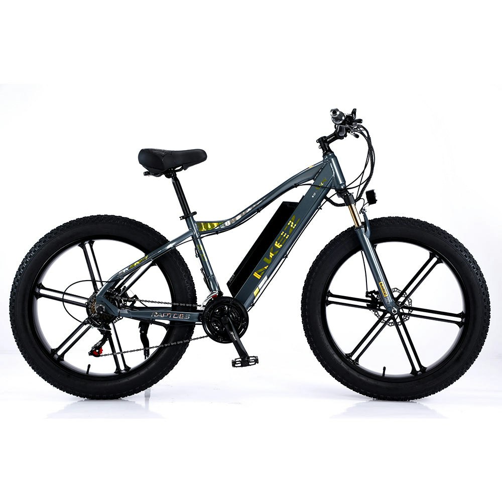 AKEZ 750W 48V ML1P Snow Bicycle 26 inches Beach Electric Bike Motorized eBike Battery