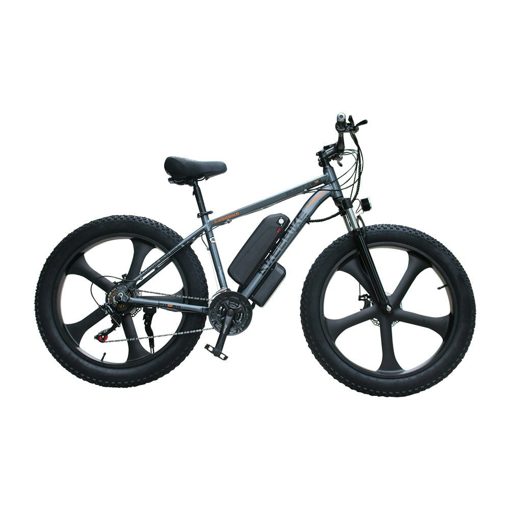 AKEZ 750W 48V Snow eBike 26-Inch Electric Bike Motorized Bicycle