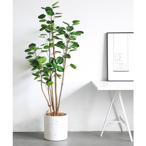 SOGA 4X 180cm Green Artificial Indoor Pocket Money Tree Fake Plant Simulation Decorative SOGA 4X 180cm Green Artificial Indoor Pocket Money Tree Fake Plant Simulation Decorative
