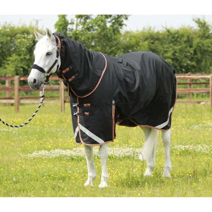 premier-equine-titan-300g-turnout-rug-jpg
