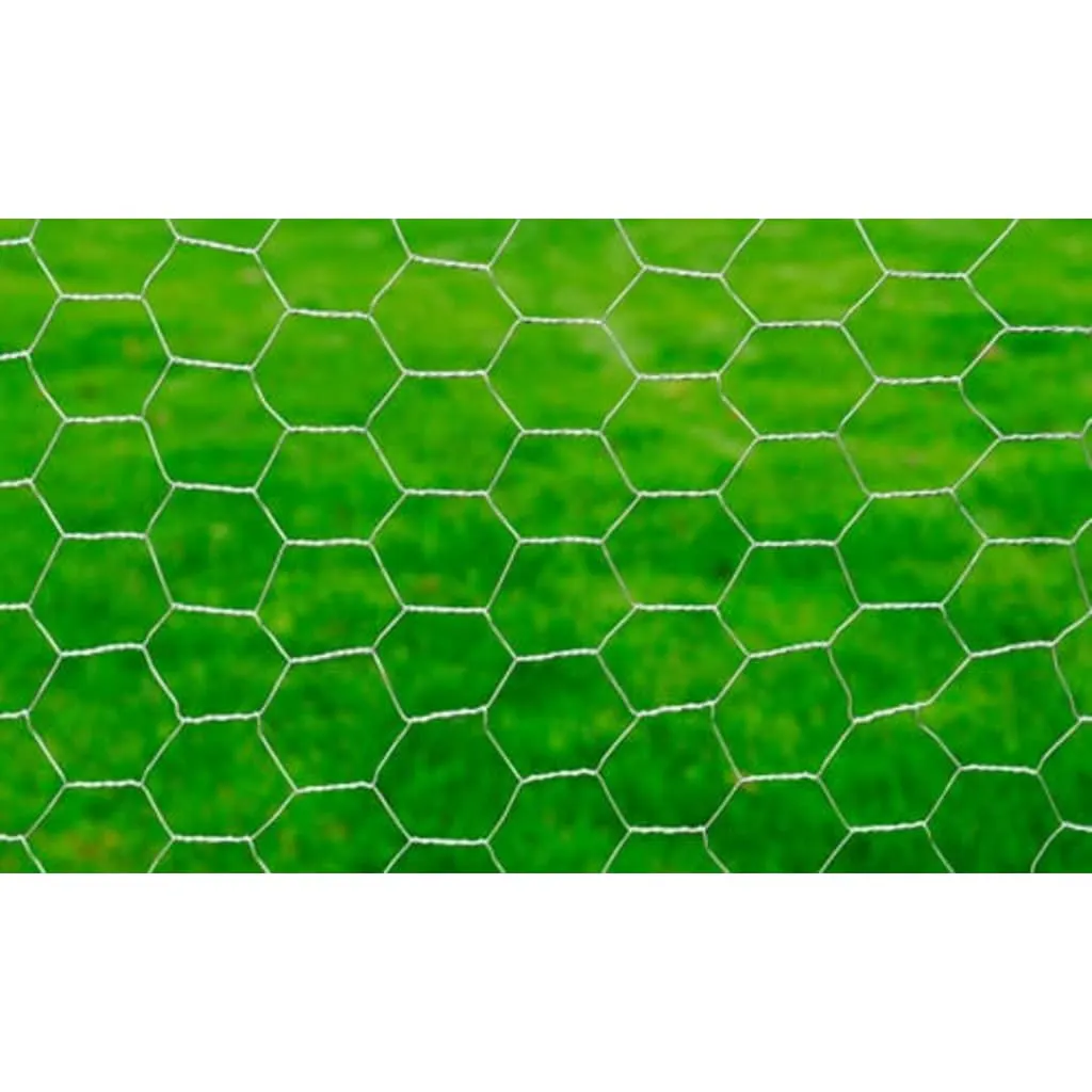 Chicken Wire Fence Galvanised Steel 25x1 m Silver 140425
