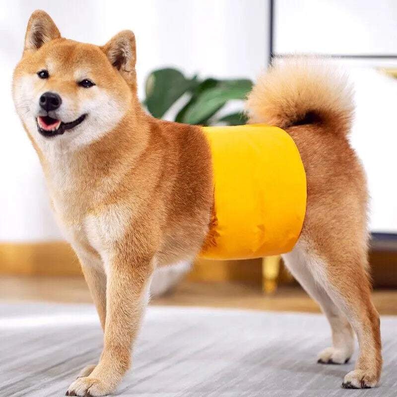 S Male Dog Puppy Nappy Diaper Belly Wrap Band Sanitary Pants Underpants