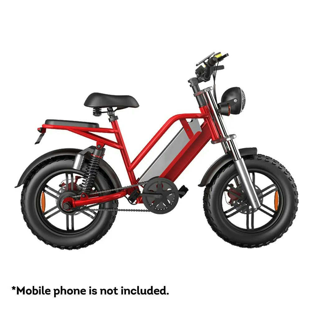 AKEZ D70 48V 750W 20Ah 20*4 inches Electric bike Rekote Alarm