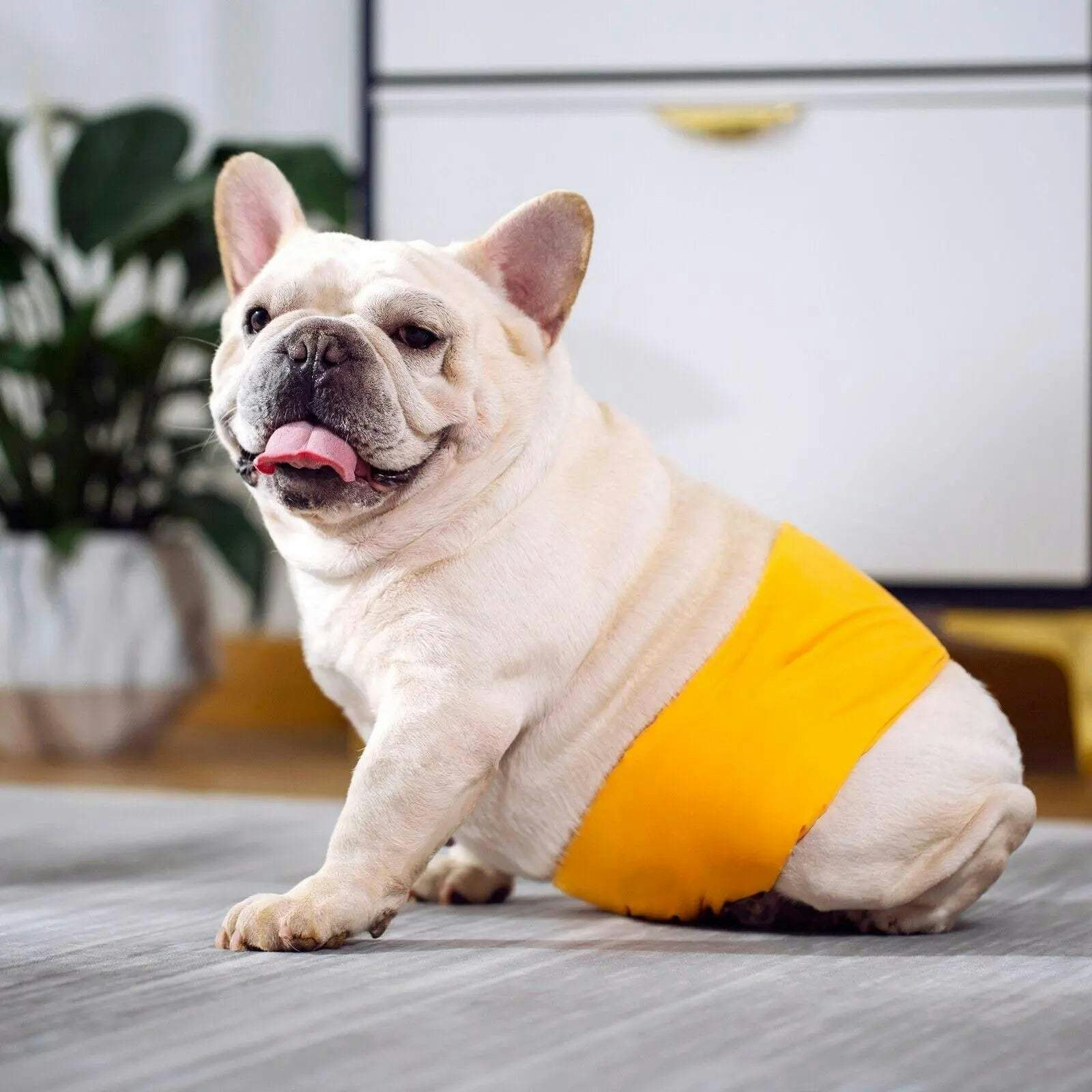 S Male Dog Puppy Nappy Diaper Belly Wrap Band Sanitary Pants Underpants