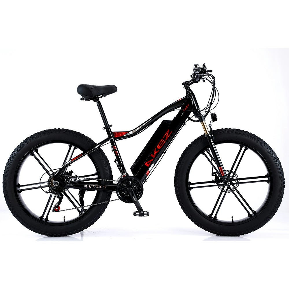 AKEZ 750W 48V ML1P Snow Bicycle 26 inches Beach Electric Bike Motorized eBike Battery