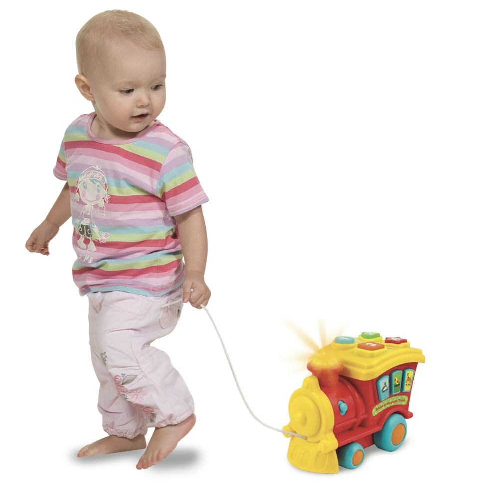 Winfun Animal Sounds Train