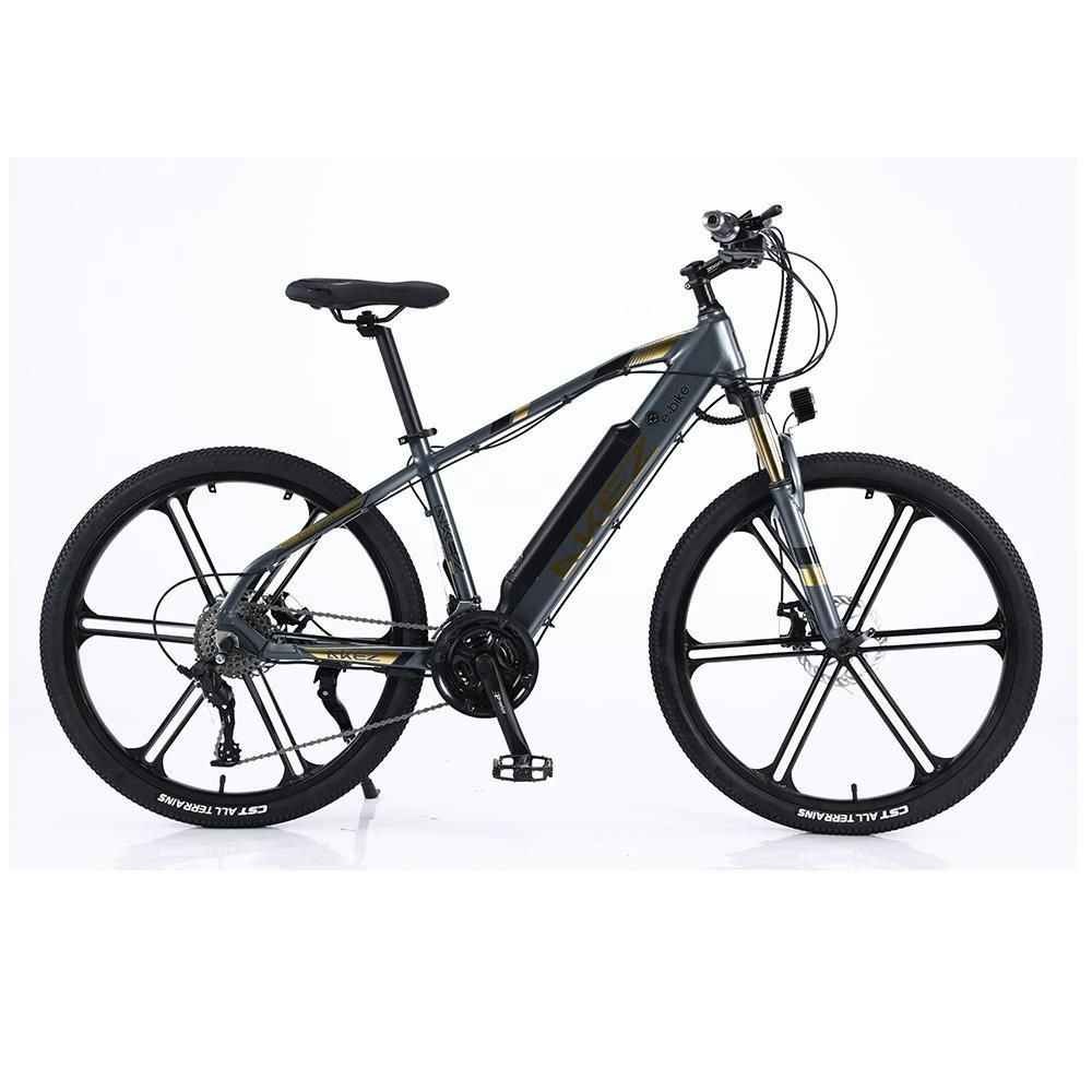 AKEZ 001 350W Mortor 36V 10Ah 26 Inches Electric Bike Mountain Bicycle