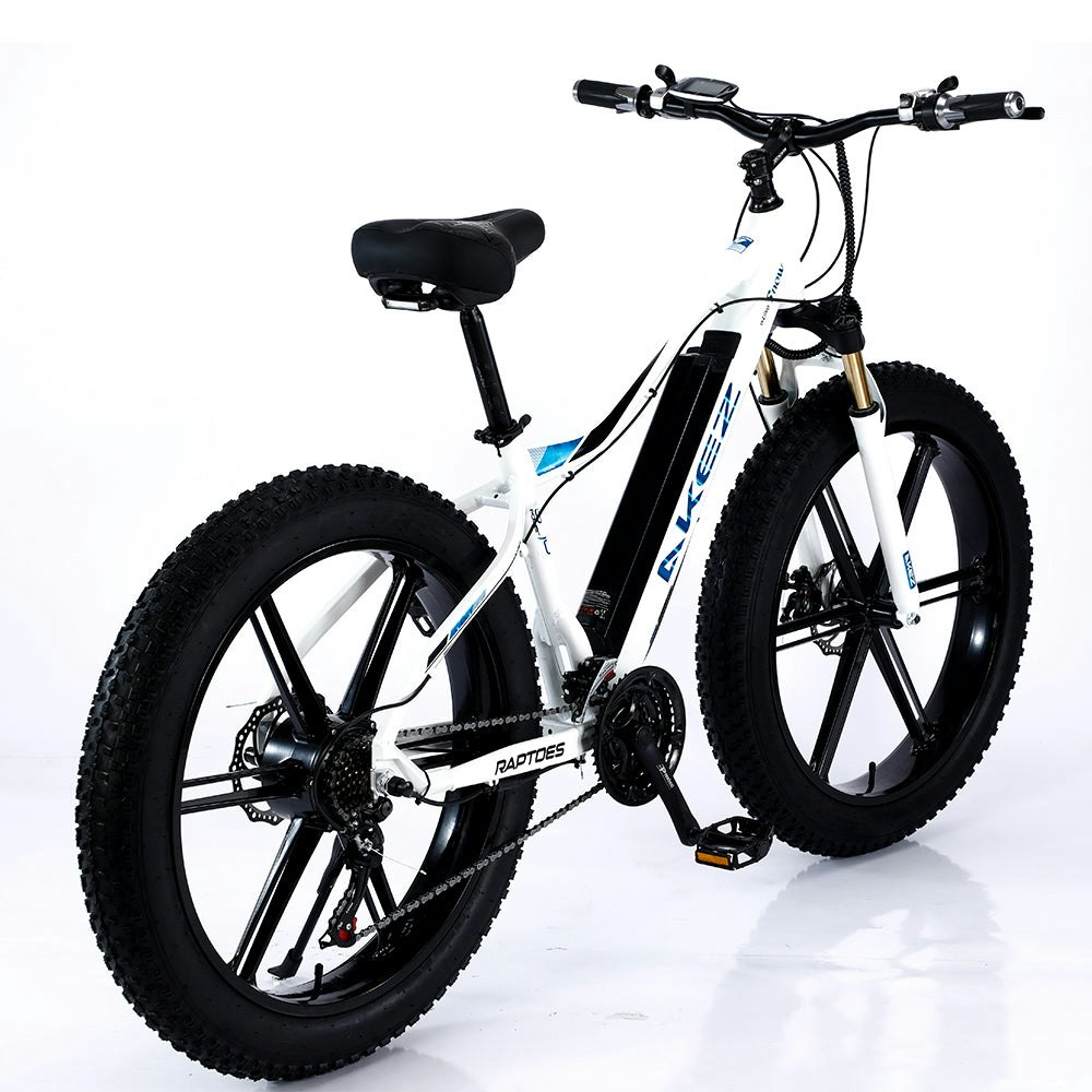 AKEZ 750W 48V ML1P Snow Bicycle 26 inches Beach Electric Bike Motorized eBike Battery